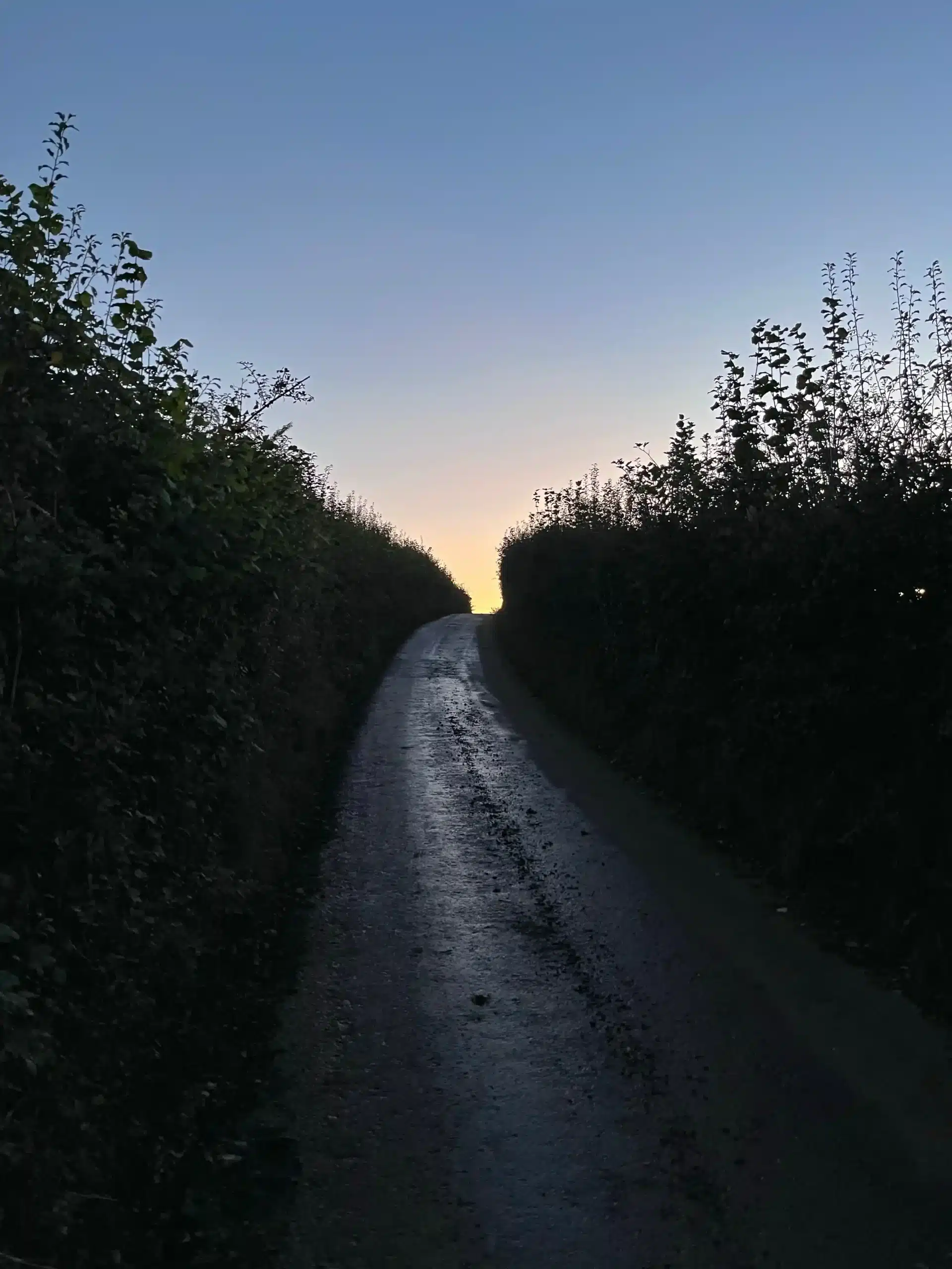A dark country lane between hedges with the light of the sunrise behind the hilltop in the background.